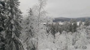 В гости в Поселение Родовых поместий Кедры Синегорья январь 2019