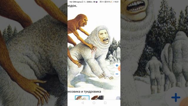 книга человек эволюция после человека в будущем