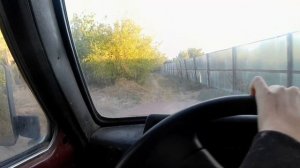 УРОЖАЙ НЕ УДАЛСЯ,СОБИРАЮ КАБАЧКИ,ЖИЗНЬ В ДЕРЕВНЕ #9