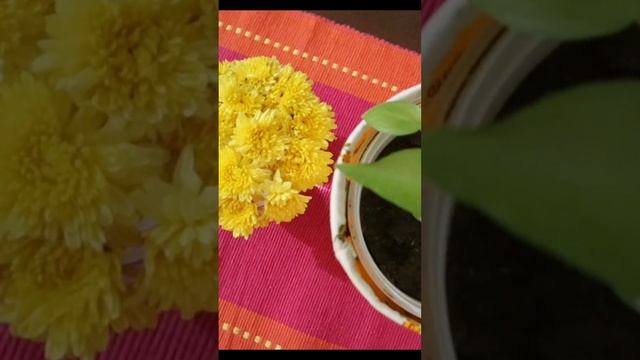 Zero/No Cost Kitchen Organization Ideas, Hacks To Reuse Trash In The Kitchen, #how #kitchen #trick смотреть онлайн