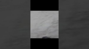 монтеро 3.подключение противотуманок к габаритам.