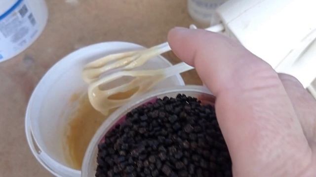 Стерлядь. Результаты Лечения Антибаком 100.