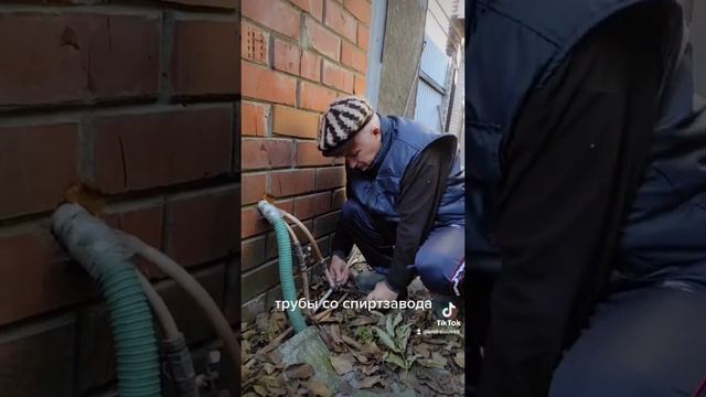 Показалось.