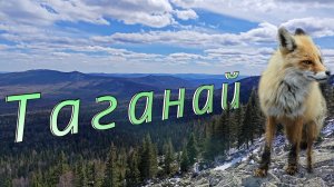 Таганай