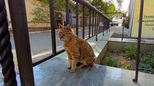 Симферополь, 30 июля 2024 г. Крым смотреть онлайн