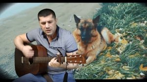 В. Захаров -  На кольцевой (песня про верного пса) кавер