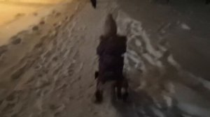 Электроснегокат из гироскутера