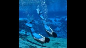 Weeki Wachee Siren Camp - Mermaid by Train