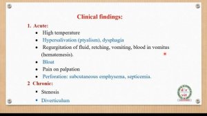 Oesophagitis in Animals