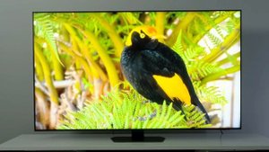 Samsung QN90D Neo QLED 4K Smart TV 2024 Model!