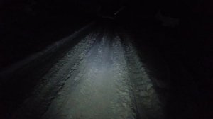 Купил: светодиодный мини фонарик Philips SFL1121. Обзор