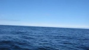 Рыбалка на восточном Кильдине