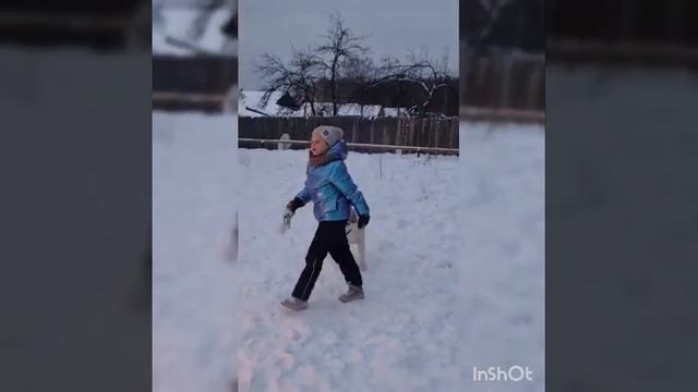 тренировки собак. гуляю с собаками. целый день с собаками. 🐺🐺🐺🐺🐺🐺 смотреть онлайн