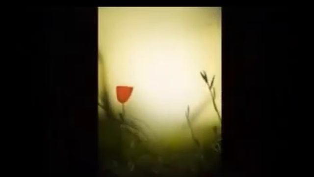 ЗАБЫТЫЕ КОНЦЕРТЫ ОП-24, Концерт 015, Композ. на стихи Н. Зеленоглазой, МУЗ. И ИСП. С. ФРУМОВИЧ смотреть онлайн