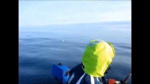 То за талию, то за хвост :-)