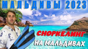 МАЛЬДИВЫ 2023. БЕЗУМНЫЙ СНОРКЕЛИНГ НА МАЛЬДИВАХ.