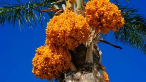 14159701-uhd_4096_2160_30fps