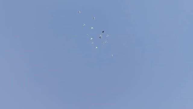 поднимаем молодёжь..mp4 смотреть онлайн