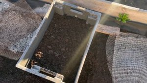 Моя маленькая миниферма на Даче