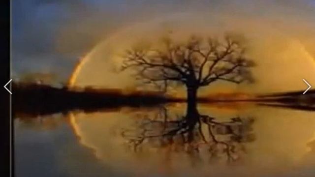 ЗАБЫТЫЕ КОНЦЕРТЫ ОП 24, Концерт 7, МУЗ. И ИСП. САМУИЛ ФРУМОВИЧ смотреть онлайн