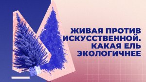 Какую ель выбрать?