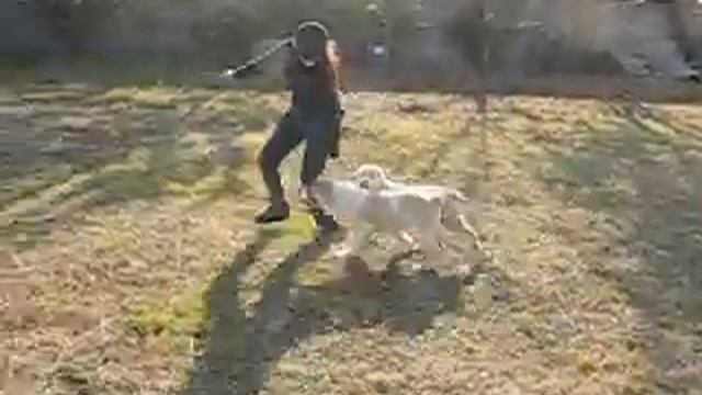 BEREG-OTA ГЕЛИЯ-3 мес. смотреть онлайн