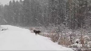 север