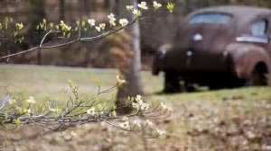 ДАХА-БРАХА - Весняночка