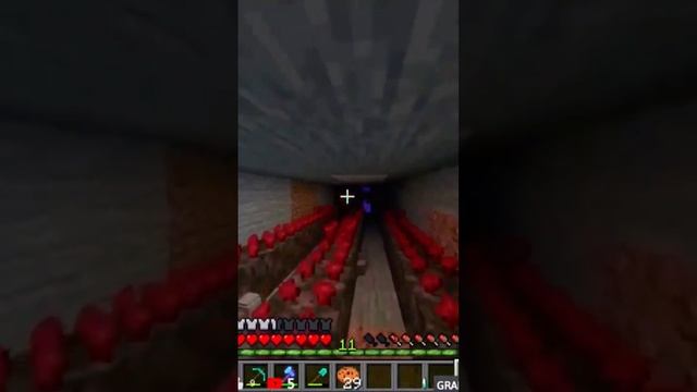 Minecraft Лучшее #371