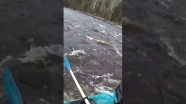 Сплав по горной речке #отдых #шорст #fishing #друзья #рыбалка #бурятия