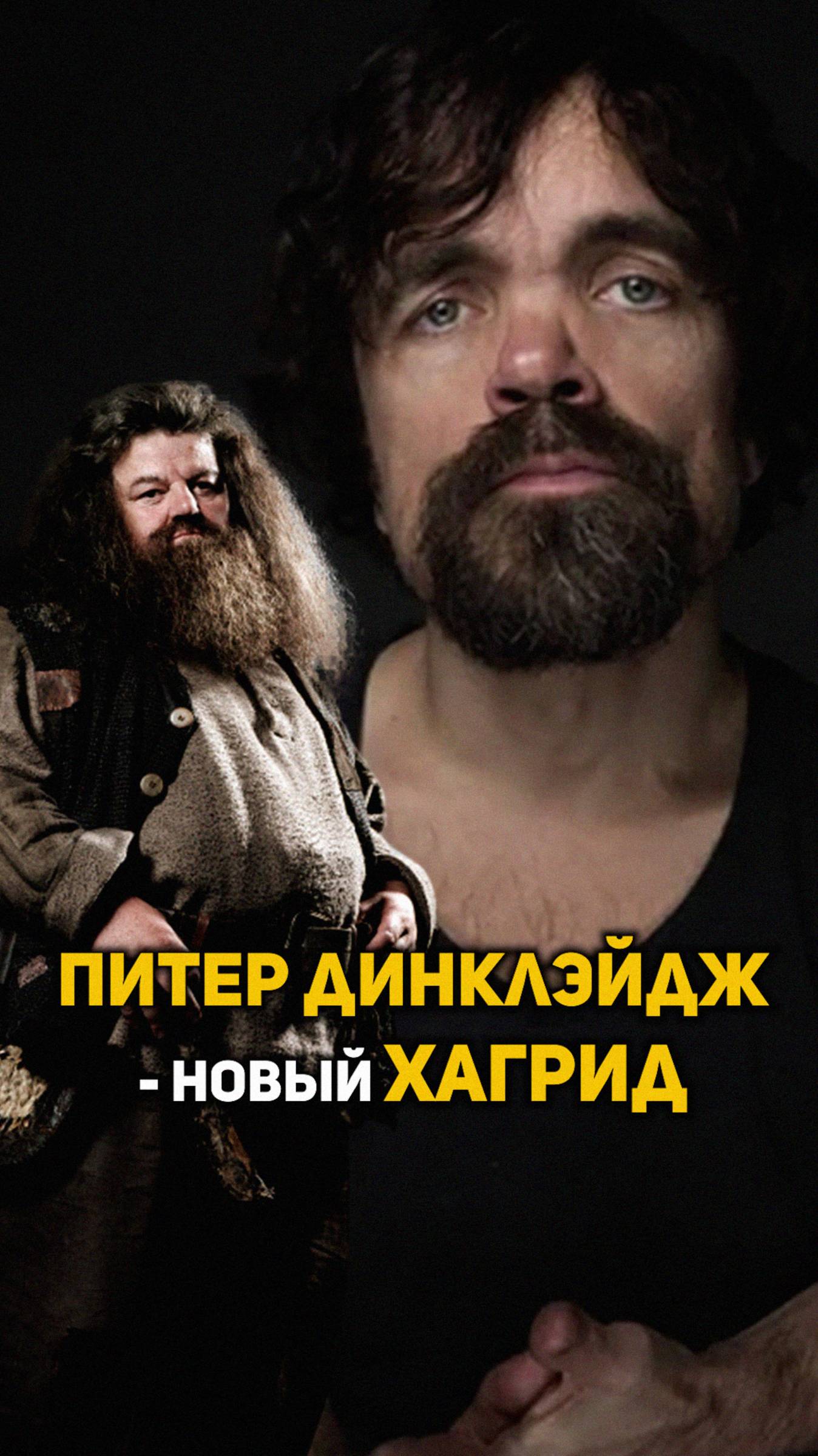 Питер Динклэйдж может стать Рубеусом Хагридом #shorts #гаррипоттер
