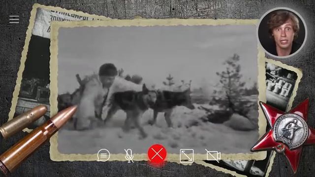 Собаки герои ВОВ? |рассказывает #АлександрГоловин, #ссср, #вов