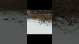 Пострадавшие Пермяки или убитые ВСУ...