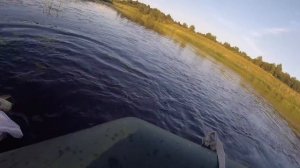 Река Мста часть 2. Голавль, Щука на чабик