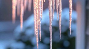 Реальная история - Взрослый мир раньше времени...