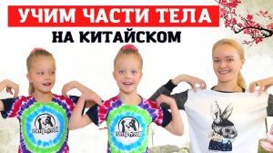 Глаголы ДВИЖЕНИЯ и ЧАСТИ ТЕЛА по-китайски | Китайская тренировка | Школа китайского | Twins Chinese