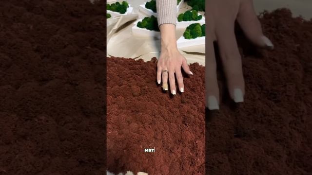 Панно из мха необычного кирпично-кораллового цвета! Наш WhatsApp: +79656074796 #мох
