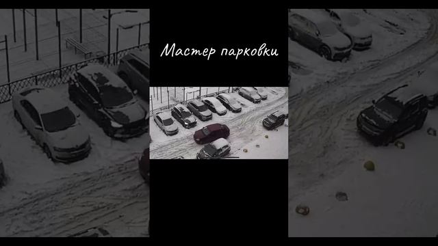 Мастер парковки