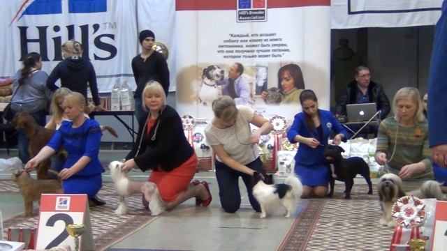 68 «ЛИДЕР УРАЛА» Екатеринбург 24.02.18.  БЭСТ Юниоров смотреть онлайн