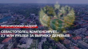 Севастополец компенсирует 2,7 млн рублей за вырубку деревьев