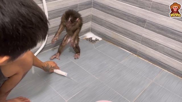 YoYo Jr uses a mini washing machine