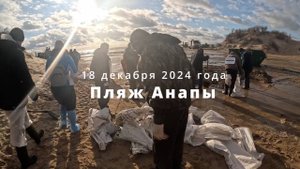 ЭКОЛОГИЧЕСКАЯ КАТАСТРОФА. Очистка пляжа Анапы от мазута.