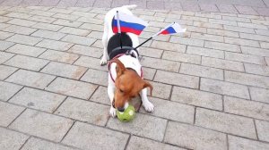 Дженни - 1ч.mp4