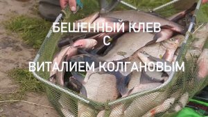 Донная ловля для начинающих. Ловля карася на деревенском пруду