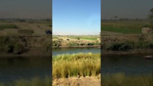 Снято во время отпуска в Египте
