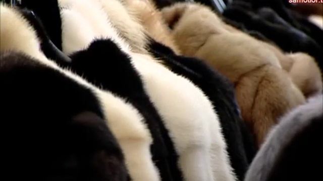 ВЫСТАВКА РОСМЕХ ОТКРЫЛАСЬ смотреть онлайн