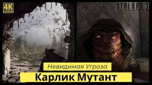 STALKER 2: Heart of Chornobyl прохождения Карлик Мутант