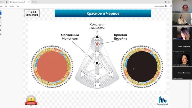 Кристаллы Сознания и Магнитный Монополь. Дизайн Человека