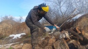 zimani 250 pro. распиловка дров