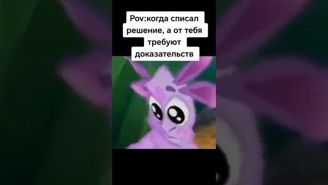 как вам видео?